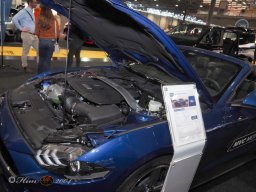 Vienna Drive 15.01.2026